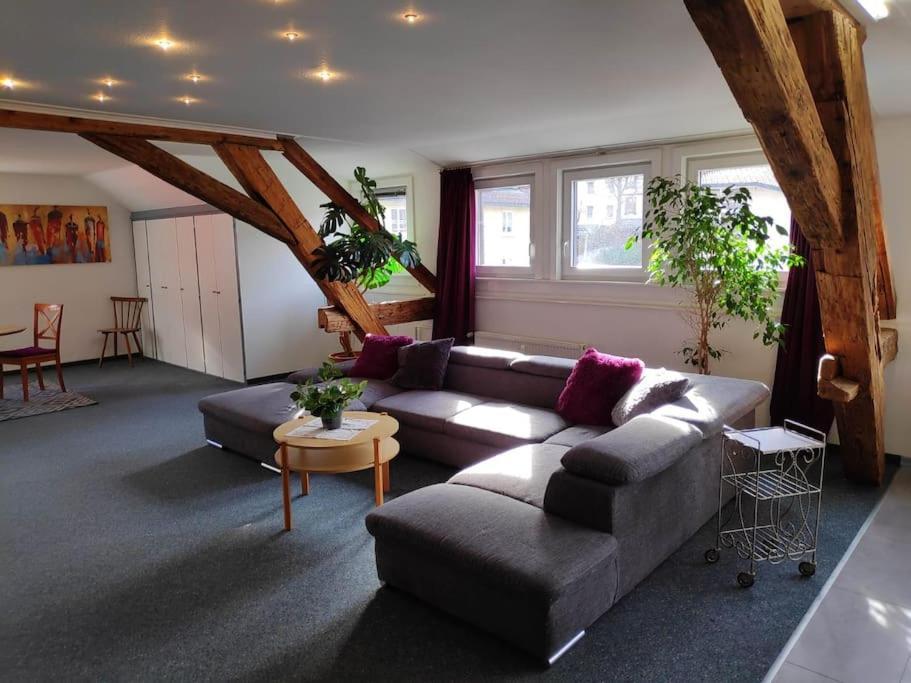 Grosse 130 M2 Gemuetliche Wohnung Im Herzen Tribergs Triberg im Schwarzwald Eksteriør billede