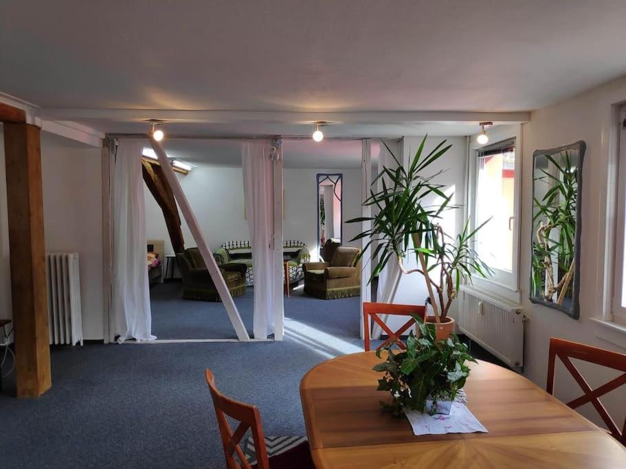 Grosse 130 M2 Gemuetliche Wohnung Im Herzen Tribergs Triberg im Schwarzwald Eksteriør billede